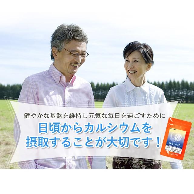 カルシウム サプリ 約3ヶ月分 ビタミンD ナトリウム カリウム マグネシウム 鉄 亜鉛 サプリメント 健康 カルシウムの多い食品 ポイント利用 | ogaland | 09