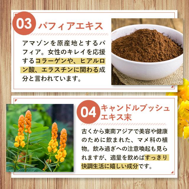 ogaland（オーガランド） 今週の100円 コンブチャ （約1ヶ月分） 酵素