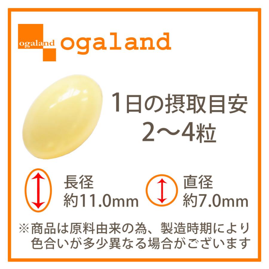 ogaland（オーガランド） 今週の100円 ビフィズス菌 （約1ヶ月分