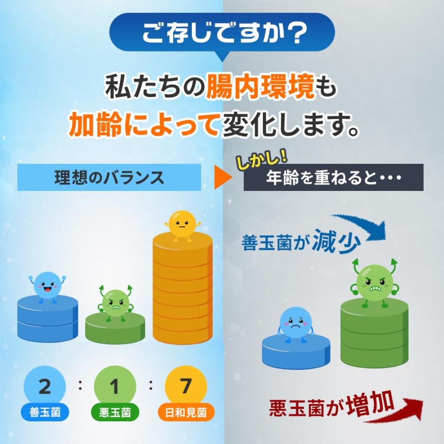 乳酸菌 サプリメント １粒に菌500億個以上 ナノ型乳酸菌 オリゴ糖 （約3ヶ月分）1日2粒 ビフィズス菌 善玉菌 | ogaland | 04
