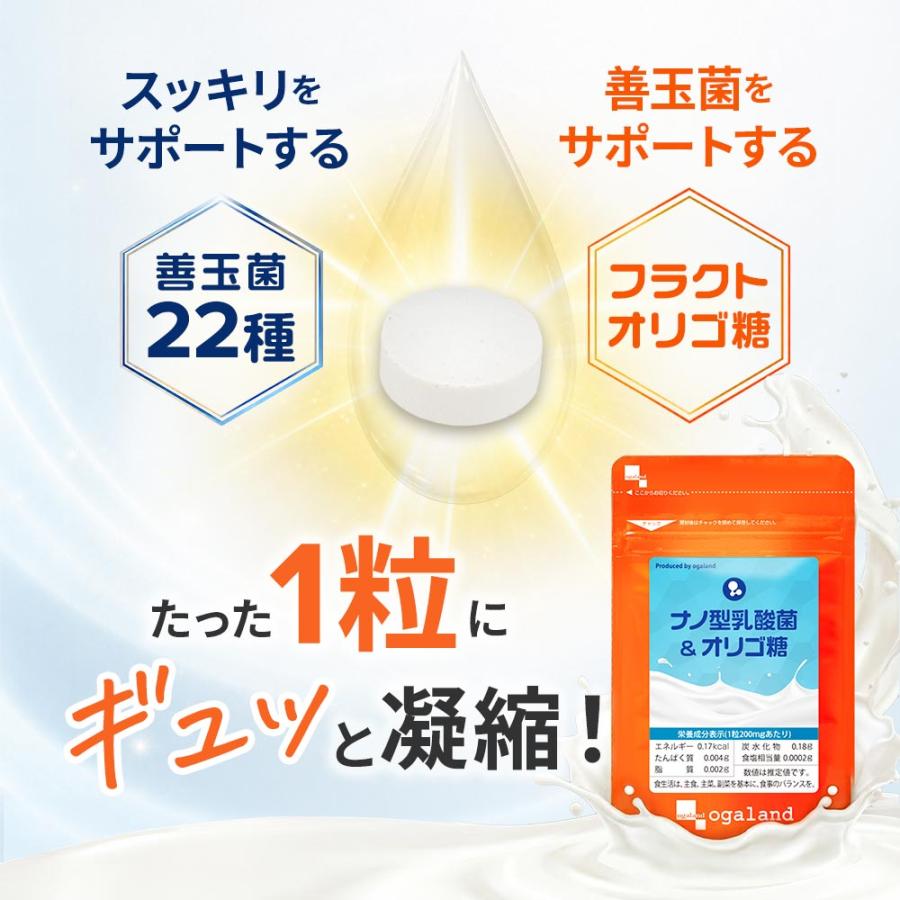 乳酸菌 サプリメント １粒に菌500億個以上 ナノ型乳酸菌 オリゴ糖 （約3ヶ月分）1日2粒 ビフィズス菌 善玉菌 | ogaland | 06