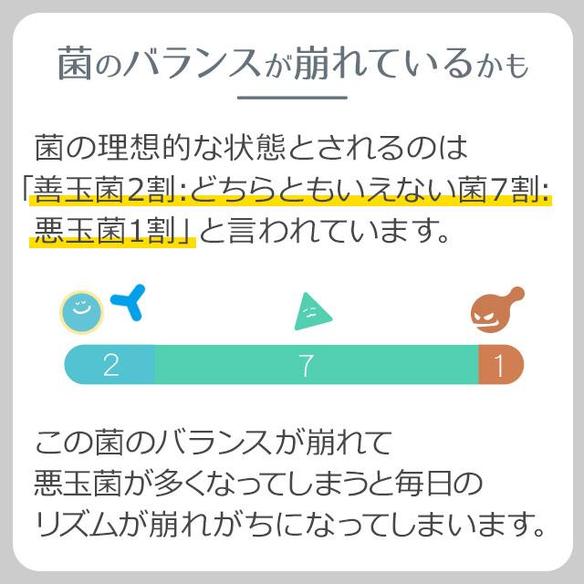 ナノ型乳酸菌 ＆ オリゴ糖 （約3ヶ月分） ヨーグルト 約50個以上の菌数を一粒に サプリ サプリメント 善玉菌 ビフィズス菌 ナノ型乳酸菌 ポイント利用 | ogaland | 06