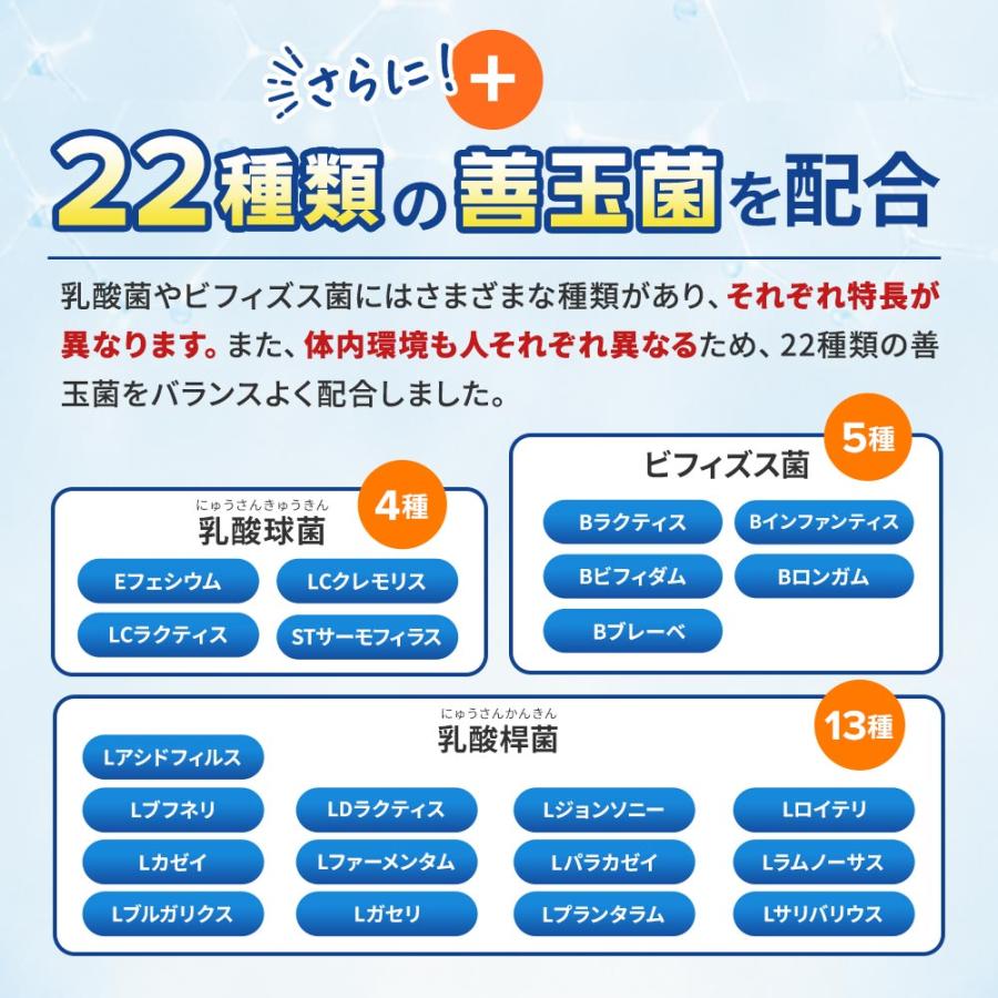 乳酸菌 サプリメント １粒に菌500億個以上 ナノ型乳酸菌 オリゴ糖 （約3ヶ月分）1日2粒 ビフィズス菌 善玉菌 | ogaland | 09