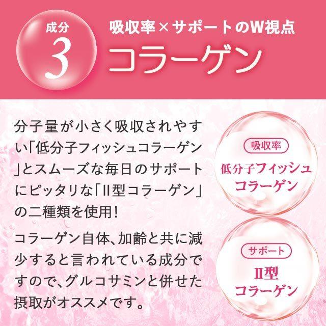 グルコサミン ＆ コンドロイチン ＆ コラーゲン （約6ヶ月分） サプリメント サプリ 運動 軟骨 抽出物 フィッシュ 2型 コラーゲン 低分子 半年分 送料無料｜oga｜16