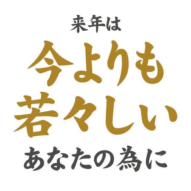 グルコサミン ＆ コンドロイチン ＆ コラーゲン （約6ヶ月分） サプリメント サプリ 運動 軟骨 抽出物 フィッシュ 2型 コラーゲン 低分子 半年分 送料無料｜oga｜17