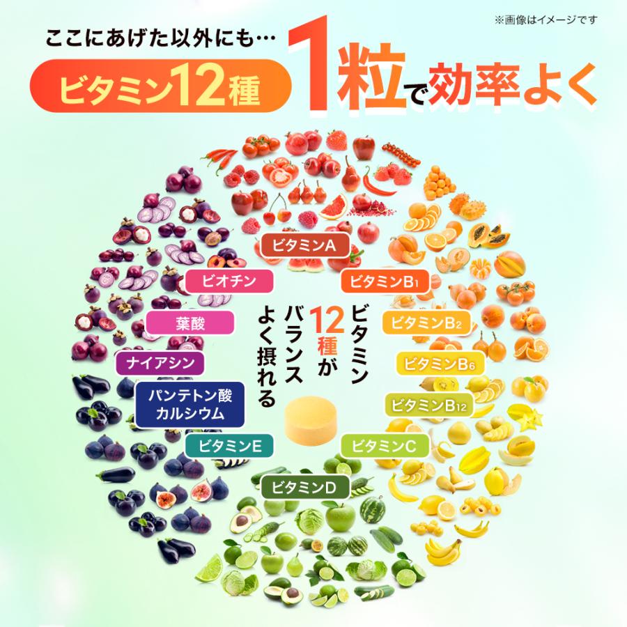マルチビタミン（約3ヶ月分）ビタミン サプリメント ビタミンE 葉酸 ビオチン ビタミンB ビタミンC 栄養機能食品 ポイント利用 | ogaland | 10