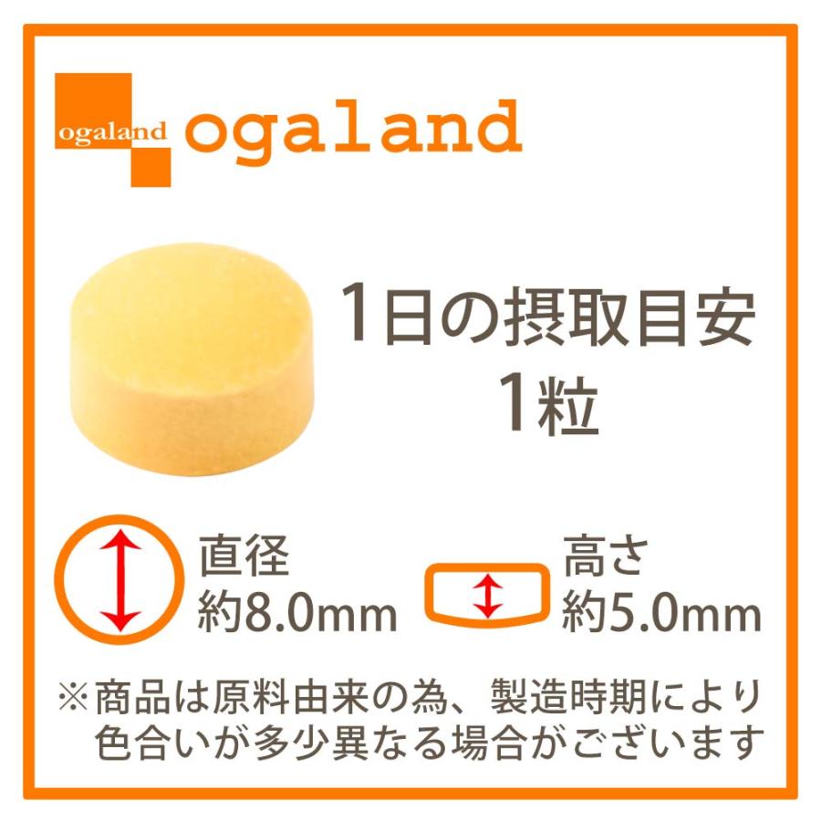 マルチビタミン（約3ヶ月分）ビタミン サプリメント ビタミンE 葉酸 ビオチン ビタミンB ビタミンC 栄養機能食品 ポイント利用 | ogaland | 18