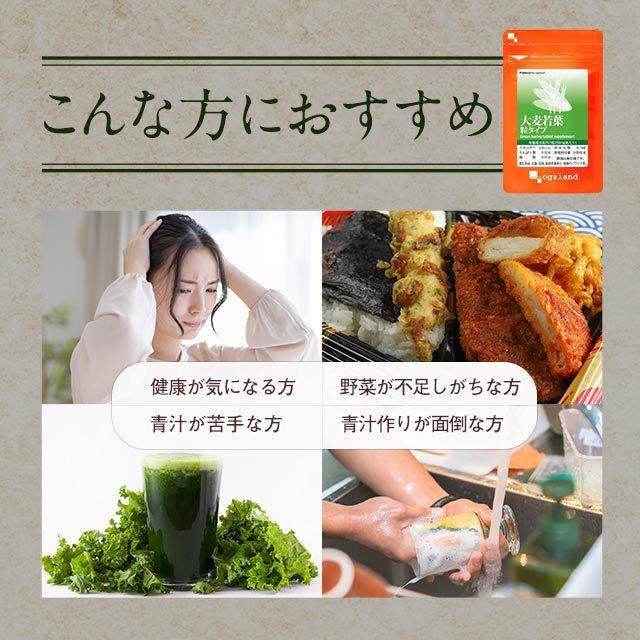 大麦若葉粒タイプ （約3ヶ月分） 青汁 サプリメント ケール ゴーヤ ミネラル ダイエット 食物繊維 ビタミン 野菜 サプリ 健康 ビタミン ポイント利用 | ogaland | 10