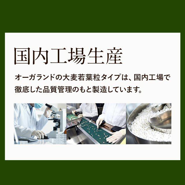 大麦若葉粒タイプ （約3ヶ月分） 青汁 サプリメント ケール ゴーヤ ミネラル ダイエット 食物繊維 ビタミン 野菜 サプリ 健康 ビタミン ポイント利用 | ogaland | 11
