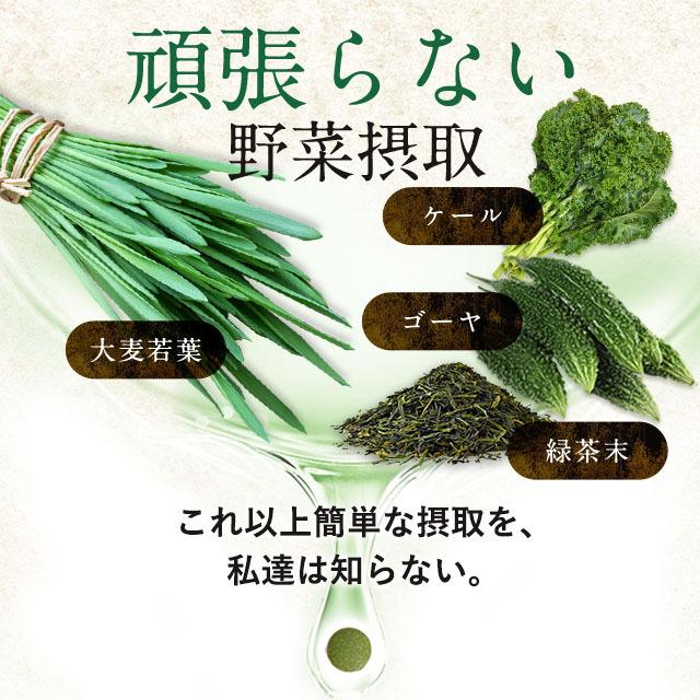 大麦若葉粒タイプ （約3ヶ月分） 青汁 サプリメント ケール ゴーヤ ミネラル ダイエット 食物繊維 ビタミン 野菜 サプリ 健康 ビタミン ポイント利用 | ogaland | 13