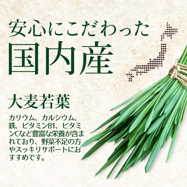大麦若葉粒タイプ （約3ヶ月分） 青汁 サプリメント ケール ゴーヤ ミネラル ダイエット 食物繊維 ビタミン 野菜 サプリ 健康 ビタミン ポイント利用 | ogaland | 06