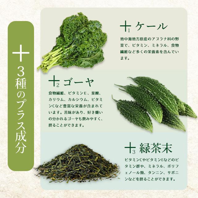 大麦若葉粒タイプ （約3ヶ月分） 青汁 サプリメント ケール ゴーヤ ミネラル ダイエット 食物繊維 ビタミン 野菜 サプリ 健康 ビタミン ポイント利用 | ogaland | 07