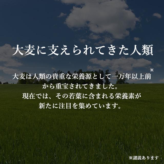 大麦若葉粒タイプ （約3ヶ月分） 青汁 サプリメント ケール ゴーヤ ミネラル ダイエット 食物繊維 ビタミン 野菜 サプリ 健康 ビタミン ポイント利用 | ogaland | 08