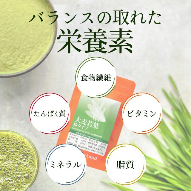 大麦若葉粒タイプ （約3ヶ月分） 青汁 サプリメント ケール ゴーヤ ミネラル ダイエット 食物繊維 ビタミン 野菜 サプリ 健康 ビタミン ポイント利用 | ogaland | 09