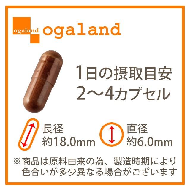 セントジョーンズワート （約3ヶ月分） サプリ サプリメント ギャバ テアニン グリシン トリプトファン カモミール 忙しい現代人に ポイント利用 | ogaland | 12