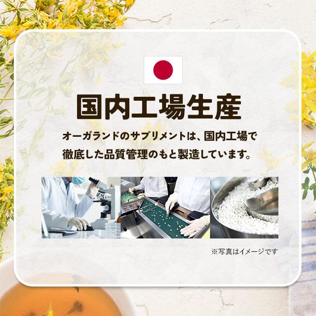 セントジョーンズワート （約3ヶ月分） サプリ サプリメント ギャバ テアニン グリシン トリプトファン カモミール 忙しい現代人に ポイント利用 | ogaland | 10