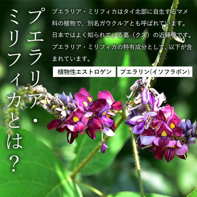 プエラリアミリフィカ （270粒） サプリメント 女性 特有のお悩みに サプリ プエラリア 美容 イソフラボン プエラリン 植物性 エストロゲン ポイント利用 | ogaland | 08