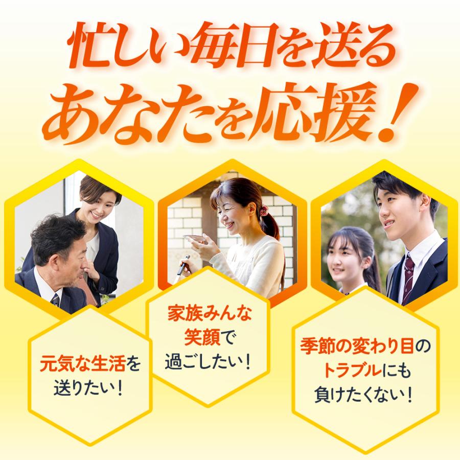 プロポリスゴールド （約3ヶ月分）サプリメント サプリ フラボノイド プロポリス 季節の変わり目 ポリフェノール アルテピリン酸 ポイント利用 | ogaland | 11