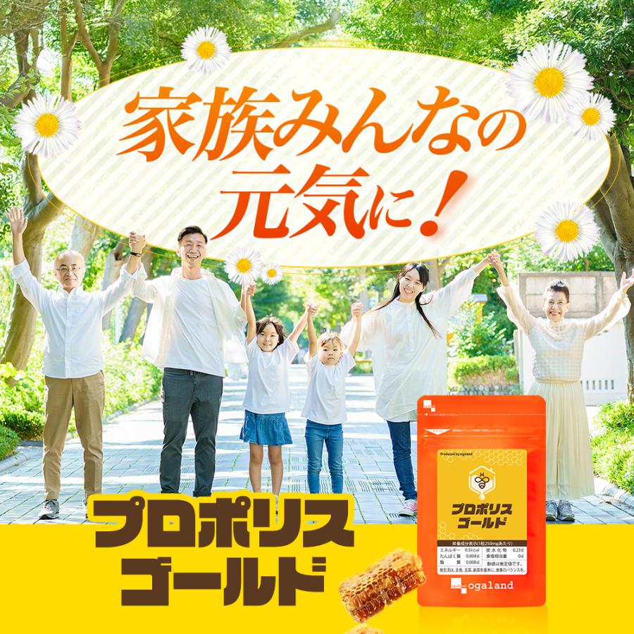 プロポリスゴールド （約3ヶ月分）サプリメント サプリ フラボノイド プロポリス 季節の変わり目 ポリフェノール アルテピリン酸 ポイント利用 | ogaland | 12