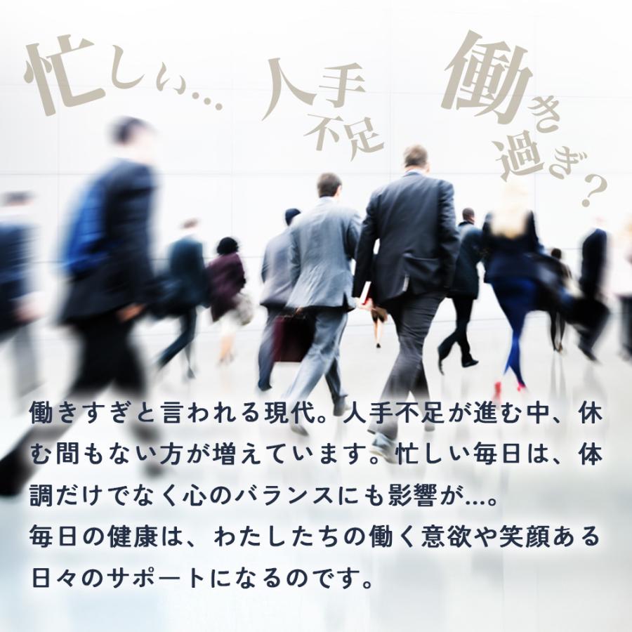 プロポリスゴールド （約3ヶ月分）サプリメント サプリ フラボノイド プロポリス 季節の変わり目 ポリフェノール アルテピリン酸 ポイント利用 | ogaland | 05