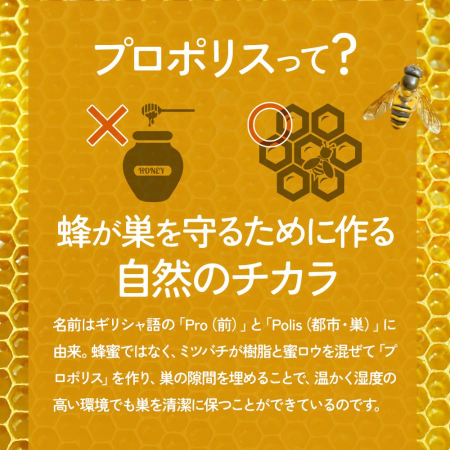 プロポリスゴールド （約3ヶ月分）サプリメント サプリ フラボノイド プロポリス 季節の変わり目 ポリフェノール アルテピリン酸 ポイント利用 | ogaland | 09