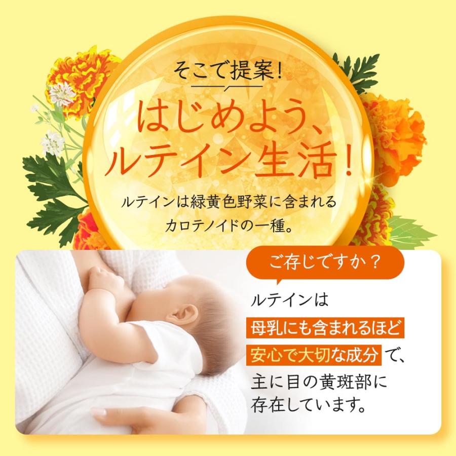 ルテイン サプリ 約3ヶ月分 ルテインサプリメント 亜鉛 酵母 ビタミンA メグスリノキ 健康 アスタキサンチン ゼアキサンチン 健康 オーガランド ポイント利用 | ogaland | 05