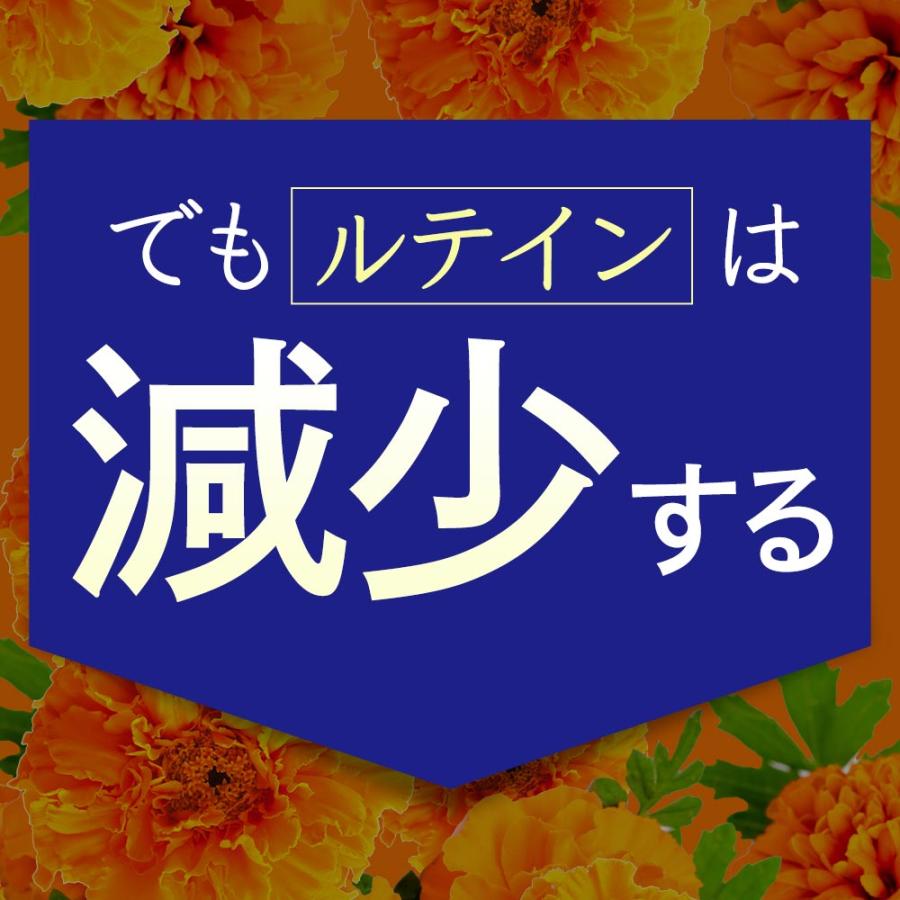 ルテイン サプリ 約3ヶ月分 ルテインサプリメント 亜鉛 酵母 ビタミンA メグスリノキ 健康 アスタキサンチン ゼアキサンチン 健康 オーガランド ポイント利用 | ogaland | 07