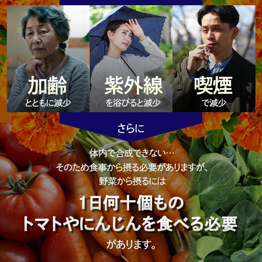 ルテイン サプリ 約3ヶ月分 ルテインサプリメント 亜鉛 酵母 ビタミンA メグスリノキ 健康 アスタキサンチン ゼアキサンチン 健康 オーガランド ポイント利用 | ogaland | 08