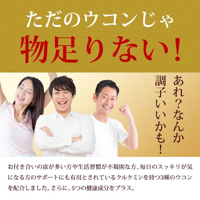 酒皇 （約1ヶ月分） しゅおう クルクミン サプリ 秋ウコン 紫ウコン 春ウコン サプリ 牡蠣 亜鉛 マカ 田七人参 イチョウ葉 配合 お酒 ガジュツ ポイント利用 | ogaland | 04