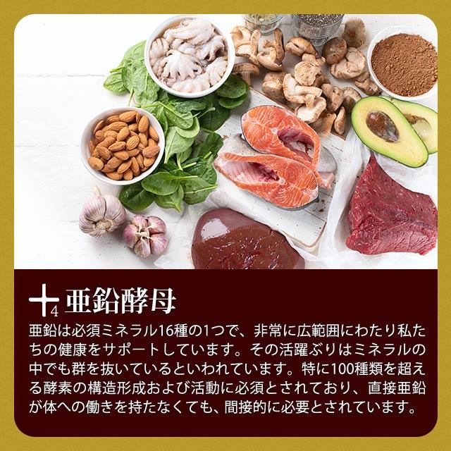 酒皇 （約3ヶ月分） ガジュツ ウコン 牡蠣 しゅおう クルクミン サプリ サプリメント 亜鉛 マカ 田七人参 イチョウ葉 配合 お酒 ポイント利用 | ogaland | 11