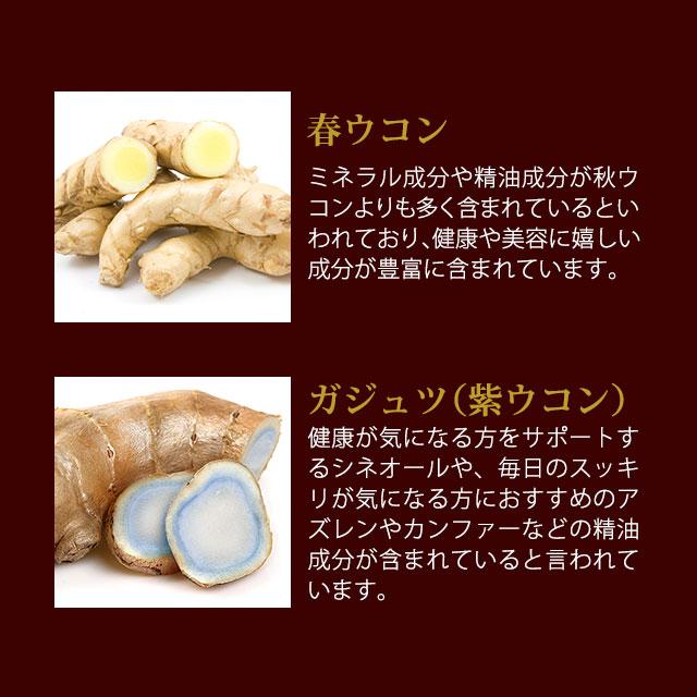 酒皇 （約3ヶ月分） ガジュツ ウコン 牡蠣 しゅおう クルクミン サプリ サプリメント 亜鉛 マカ 田七人参 イチョウ葉 配合 お酒 ポイント利用 | ogaland | 06