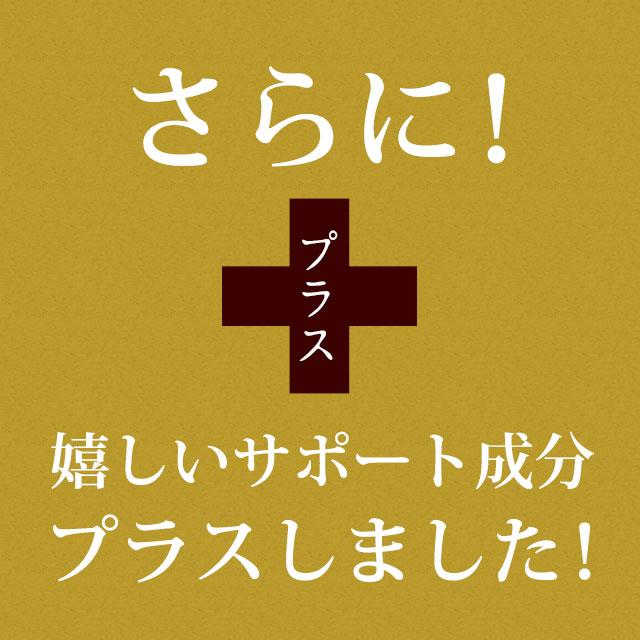 酒皇 （約3ヶ月分） ガジュツ ウコン 牡蠣 しゅおう クルクミン サプリ サプリメント 亜鉛 マカ 田七人参 イチョウ葉 配合 お酒 ポイント利用 | ogaland | 07