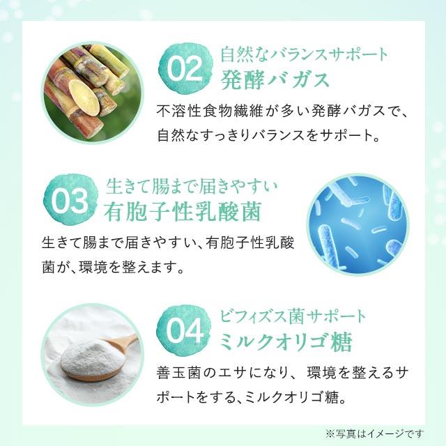 シャンピニオンエチケット （約3ヶ月分） カテキン デオアタック(R) サプリメント サプリ エチケット 食物繊維 有胞子性 乳酸菌 シャンピニオン ポイント利用 | ogaland | 13