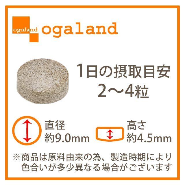 シャンピニオンエチケット （約3ヶ月分） カテキン デオアタック(R) サプリメント サプリ エチケット 食物繊維 有胞子性 乳酸菌 シャンピニオン ポイント利用 | ogaland | 17