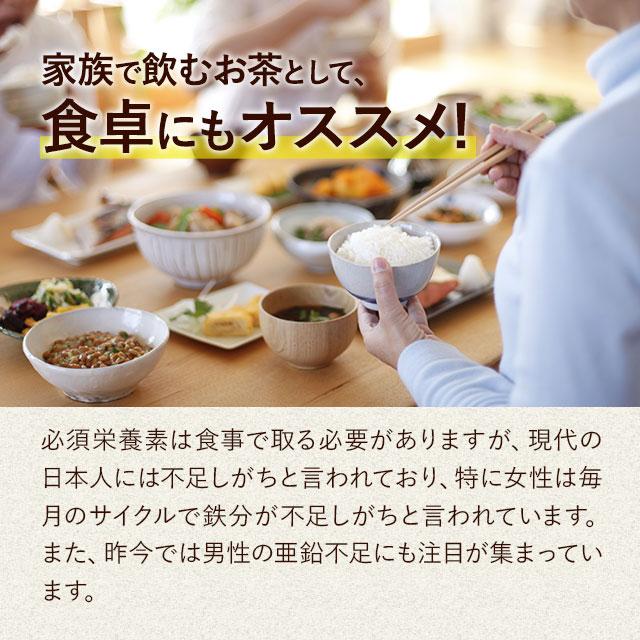 タヒボ茶 （40g） 鉄分 ビタミン ノンカフェイン 健康茶 500ml 約13回分 茶 ポリフェノール 亜鉛 カルシウム ナイアシン 美容 ポイント利用 | ogaland | 06