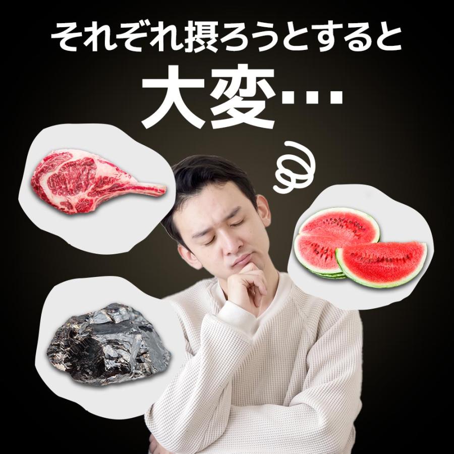 シトルリン ＆ アルギニン ＆ 亜鉛 （約1ヶ月分）アルギニン 60000mg シトルリン 24000mg サプリメント アミノ酸 ポイント利用 | ogaland | 11