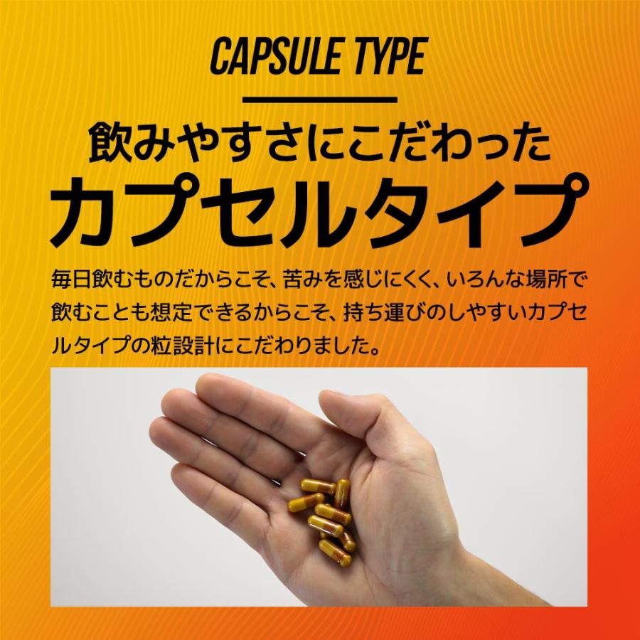 シトルリン ＆ アルギニン ＆ 亜鉛 （約6ヶ月分） アルギニン 60000mg シトルリン 24000mg トレーニング サプリ サプリメント アミノ酸 ポイント利用 | ogaland | 14