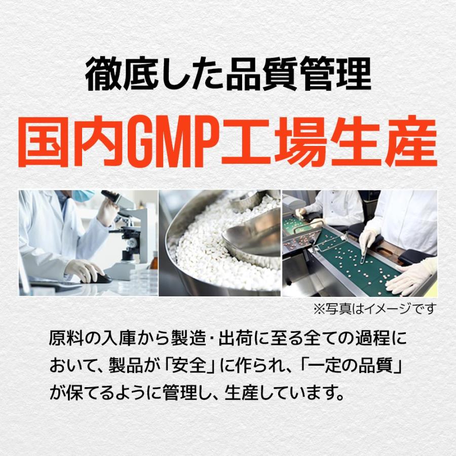 シトルリン ＆ アルギニン ＆ 亜鉛 （約6ヶ月分） アルギニン 60000mg シトルリン 24000mg トレーニング サプリ サプリメント アミノ酸 ポイント利用 | ogaland | 16