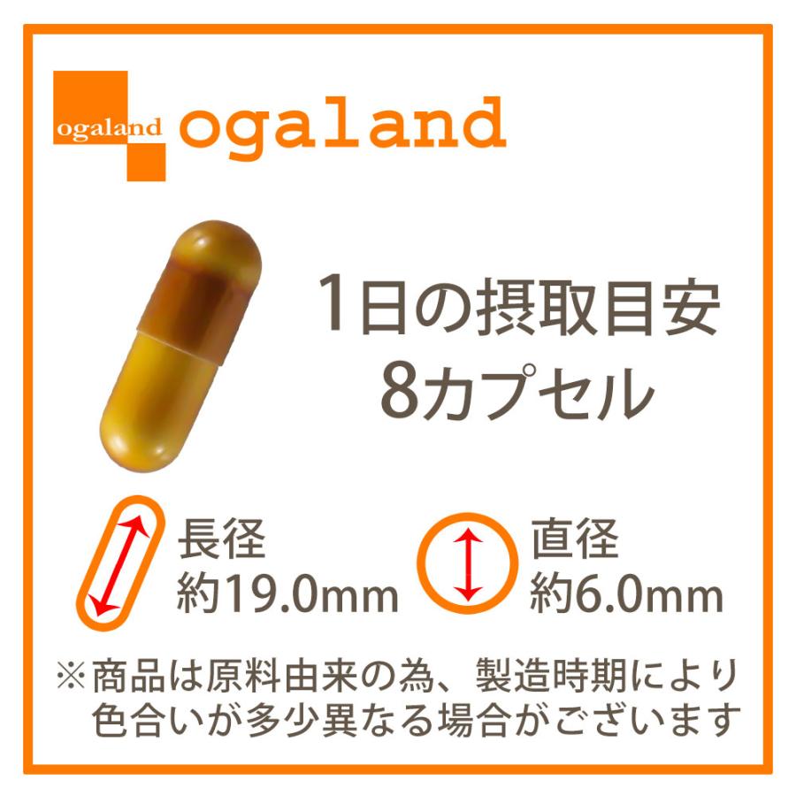 シトルリン ＆ アルギニン ＆ 亜鉛 （約6ヶ月分） アルギニン 60000mg シトルリン 24000mg トレーニング サプリ サプリメント アミノ酸 ポイント利用 | ogaland | 20