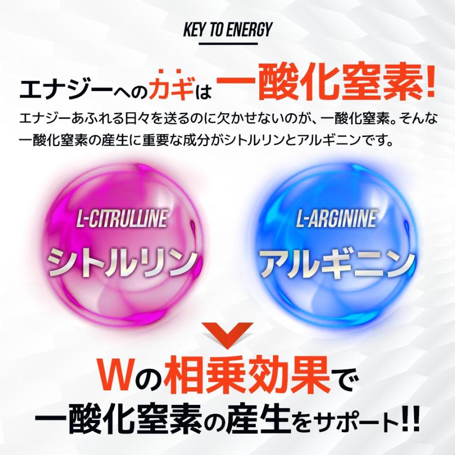シトルリン ＆ アルギニン ＆ 亜鉛 （約6ヶ月分） アルギニン 60000mg シトルリン 24000mg トレーニング サプリ サプリメント アミノ酸 ポイント利用 | ogaland | 05