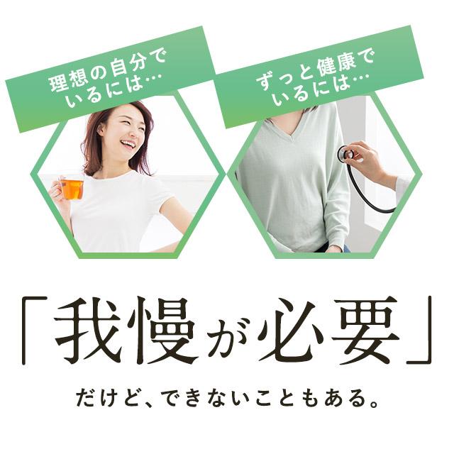 ogaland（オーガランド） カロリレス （約3ヶ月分） 食後の中性脂肪や