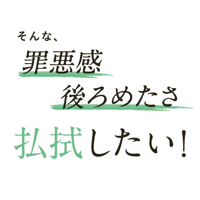 ogaland（オーガランド） カロリレス （約3ヶ月分） 食後の中性脂肪や