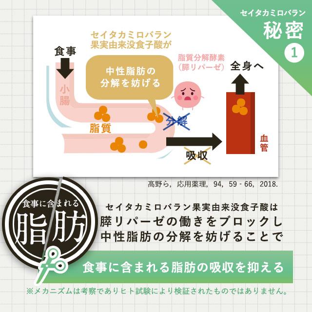 ogaland（オーガランド） カロリレス （約1ヶ月分） 食後の中性脂肪や