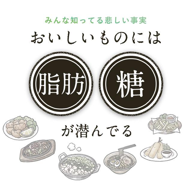 ogaland（オーガランド） カロリレス （約1ヶ月分） 食後の中性脂肪や