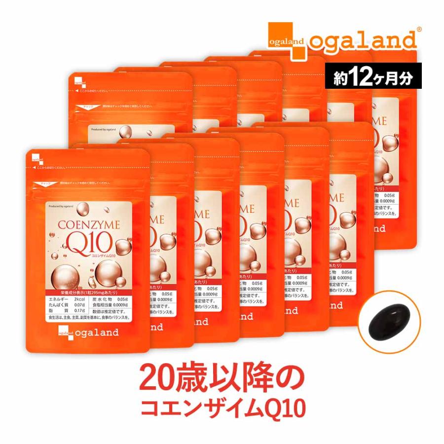 送料無料キャンペーン コエンザイムq10 約12ヶ月分 サプリメント サプリ コエンザイム エイジングケア 補酵素 美容 燃焼系 ダイエット 黒コショウ 健康 ユビキノン 送料無料 Whitesforracialequity Org