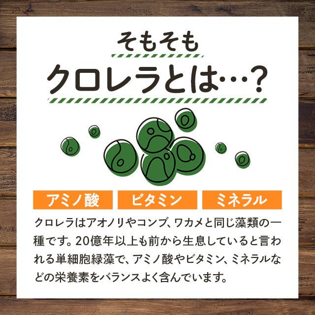 凝縮クロレラ粒100％ （約1ヶ月分） クロレラ サプリ 国産 100％ サプリメント クロロフィル ビタミン 無添加 食物繊維 野菜 不足 ナイアシン 鉄 ポイント利用 | ogaland | 05