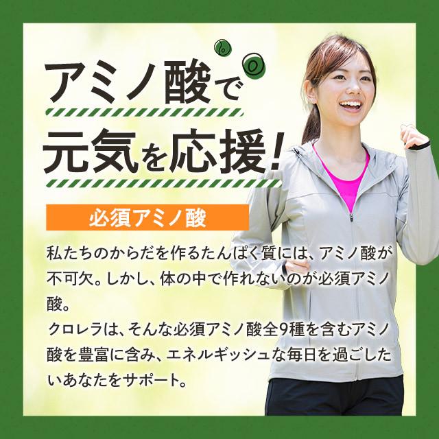 凝縮クロレラ粒100％ （約1ヶ月分） クロレラ サプリ 国産 100％ サプリメント クロロフィル ビタミン 無添加 食物繊維 野菜 不足 ナイアシン 鉄 ポイント利用 | ogaland | 07