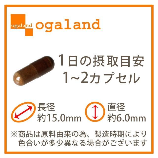 DANGAN4 （約3ヶ月分）亜鉛 マカ サプリ サプリメント 男性 の 元気 マムシ スッポン サソリ シラジット ミネラル フルボ酸