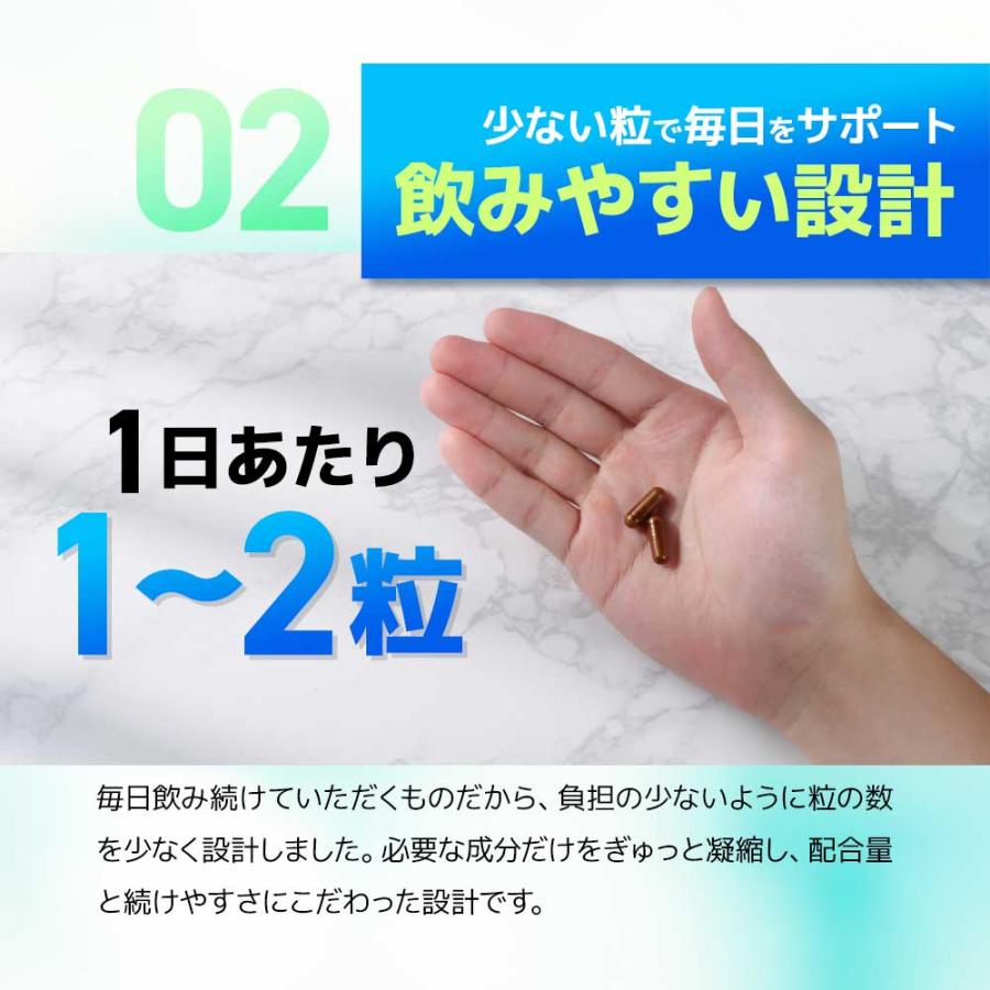 DANGAN4 （約6ヶ月分） サプリ サプリメント 亜鉛 マカ 男性 の元気 マムシ スッポン サソリ シラジット ミネラル フルボ酸 ポイント利用 | ogaland | 12