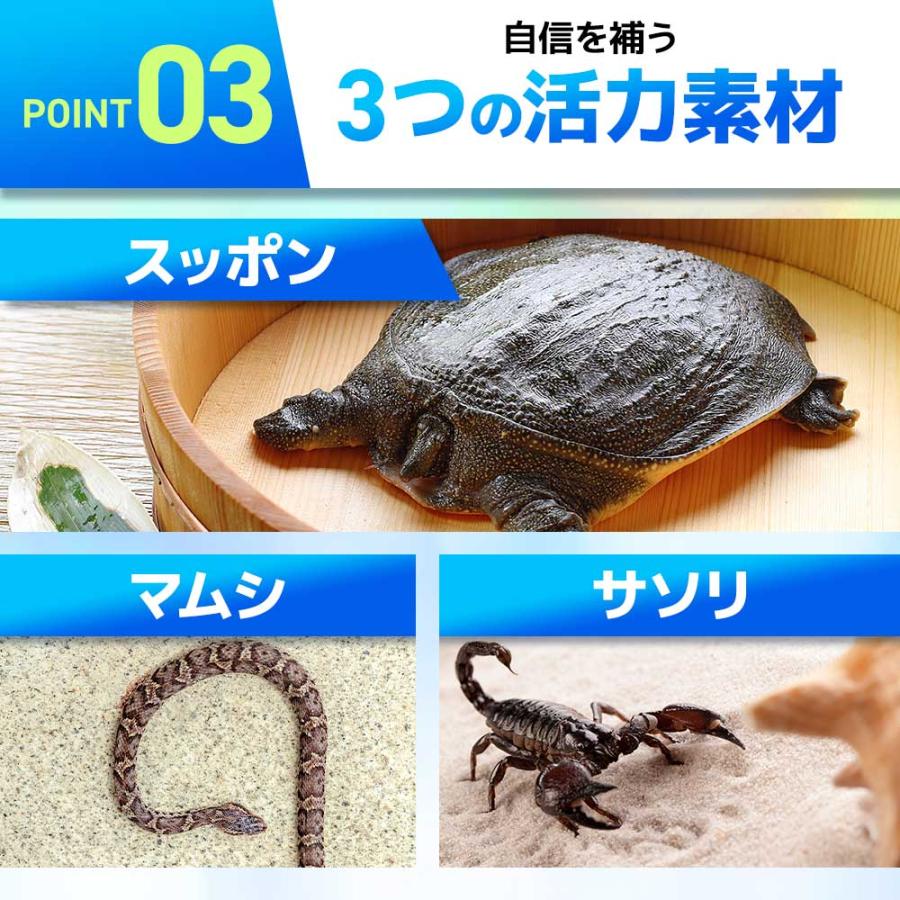 DANGAN4 （約6ヶ月分） サプリ サプリメント 亜鉛 マカ 男性 の元気 マムシ スッポン サソリ シラジット ミネラル フルボ酸 ポイント利用 | ogaland | 09